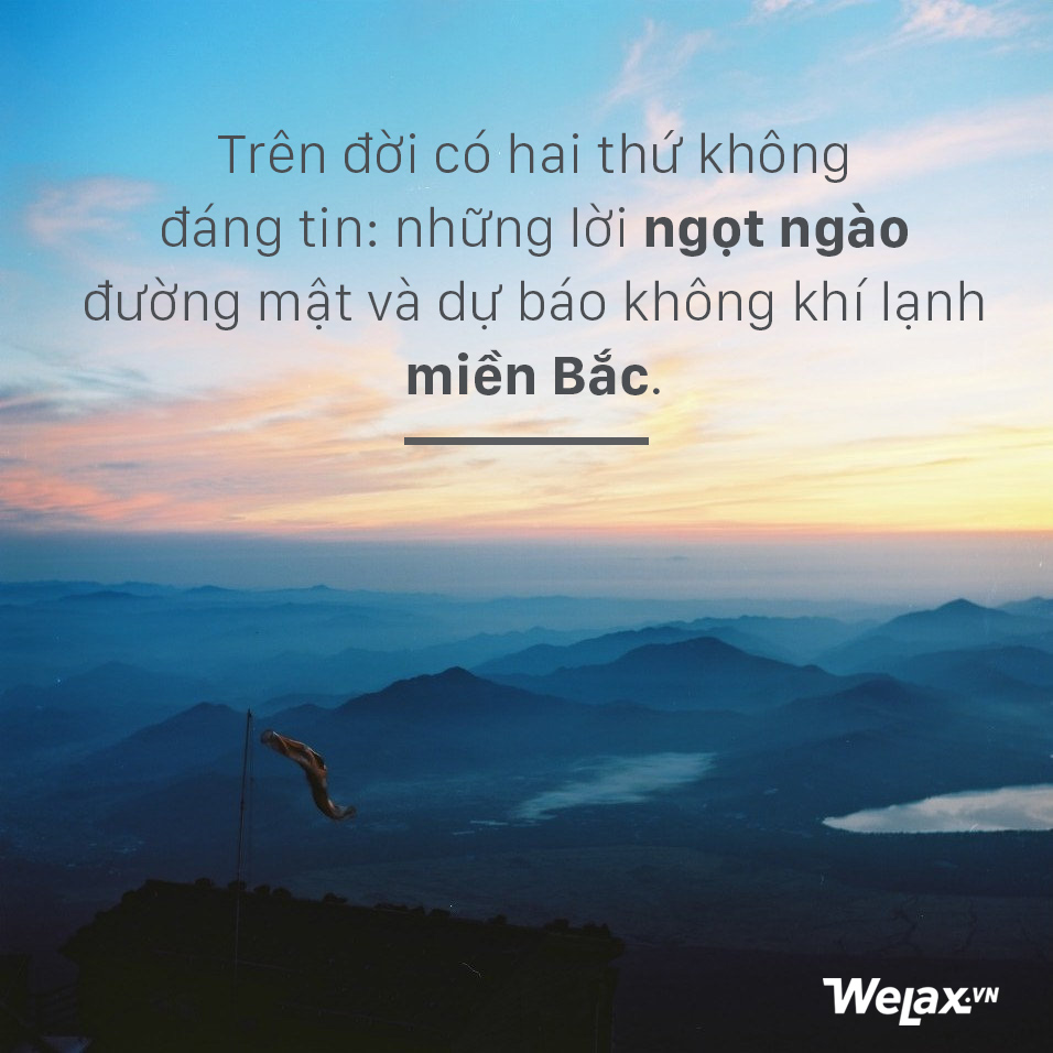 Những trích dẫn nhảm nhí giúp bạn bớt ảo tưởng vào cuộc sống