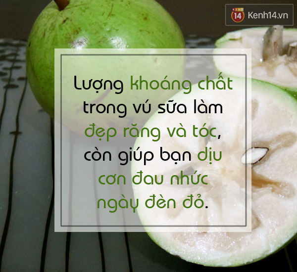 Tranh thủ ăn vú sữa vào mùa để hưởng thụ lợi ích tuyệt vời - Ảnh 2.