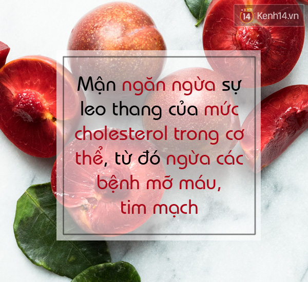 “Hàng tá” lợi ích sức khỏe tuyệt vời có trong quả mận mà chúng ta không hề biết - Ảnh 2.