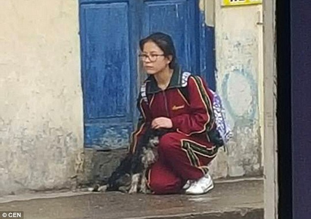 Hình ảnh cô gái dừng lại bên đường che mưa cho chú chó lang thang khiến nhiều người cảm động - Ảnh 1.