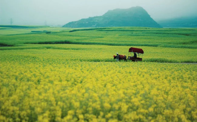 Mới khởi động 1 ng&agrave;y, Here We Go đ&atilde; c&oacute; những b&agrave;i thi ấn tượng thế n&agrave;y đ&acirc;y! - Ảnh 21.