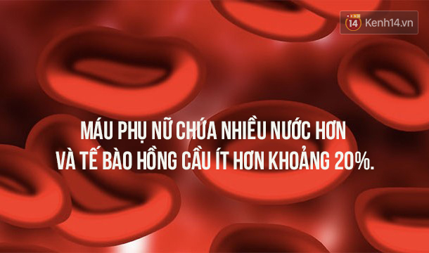 11 điểm khác biệt không ai ngờ đến về 2 nửa của thế giới - Ảnh 9.