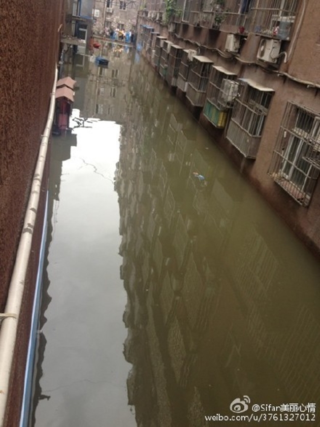 150 người chết vì mưa rơi, người dân Trung Quốc khóc nấc vì tán gia bại sản - Ảnh 8.