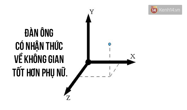 11 điểm khác biệt không ai ngờ đến về 2 nửa của thế giới - Ảnh 10.