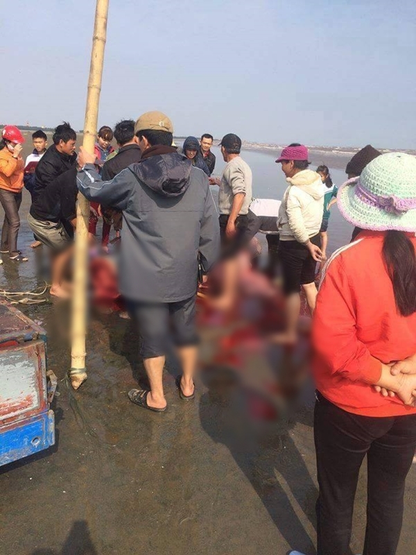 Không có chuyện người dân Nam Định xẻ thịt cá voi để ăn và mang đi bán! - Ảnh 1.