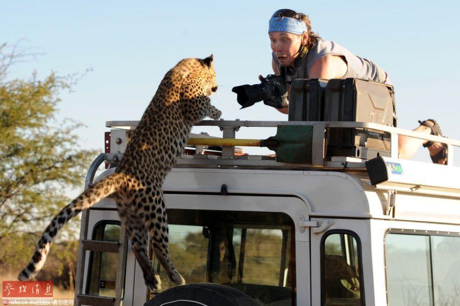 Trước vụ hổ cắn chết người trong vườn thú, biết bao tai nạn thương tâm do động vật tấn công du khách đã xảy ra - Ảnh 4. Trước vụ hổ cắn chết người trong vườn thú, biết bao tai nạn thương tâm do động vật tấn công du khách đã xảy ra - Ảnh 4.