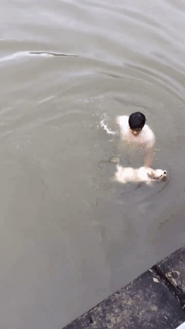 Nếu vô tình thấy một chú chó rớt xuống nước, bạn có dám liều mình nhảy xuống cứu không? - Ảnh 4.