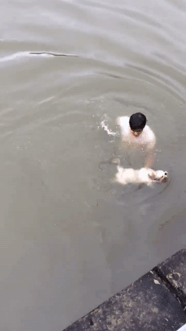 Nếu v&ocirc; t&igrave;nh thấy một ch&uacute; ch&oacute; rớt xuống nước, bạn c&oacute; d&aacute;m liều m&igrave;nh nhảy xuống cứu kh&ocirc;ng? - Ảnh 4.