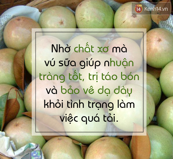 Tranh thủ ăn vú sữa vào mùa để hưởng thụ lợi ích tuyệt vời - Ảnh 3.