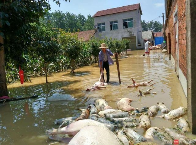 150 người chết vì mưa rơi, người dân Trung Quốc khóc nấc vì tán gia bại sản - Ảnh 26.