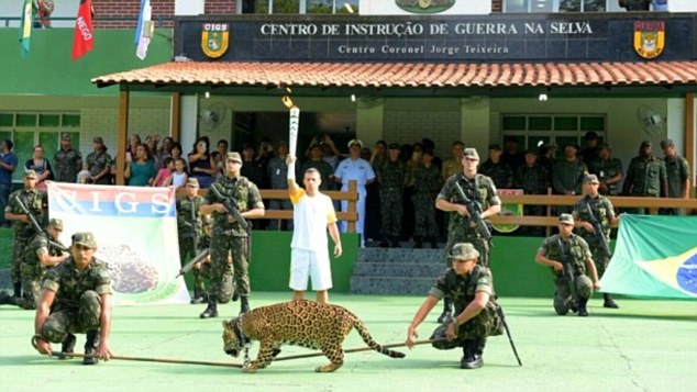 Thế giới phẫn nộ vì báo đốm bị bắn chết sau khi tham gia màn rước đuốc Olympic tại Brazil - Ảnh 2.