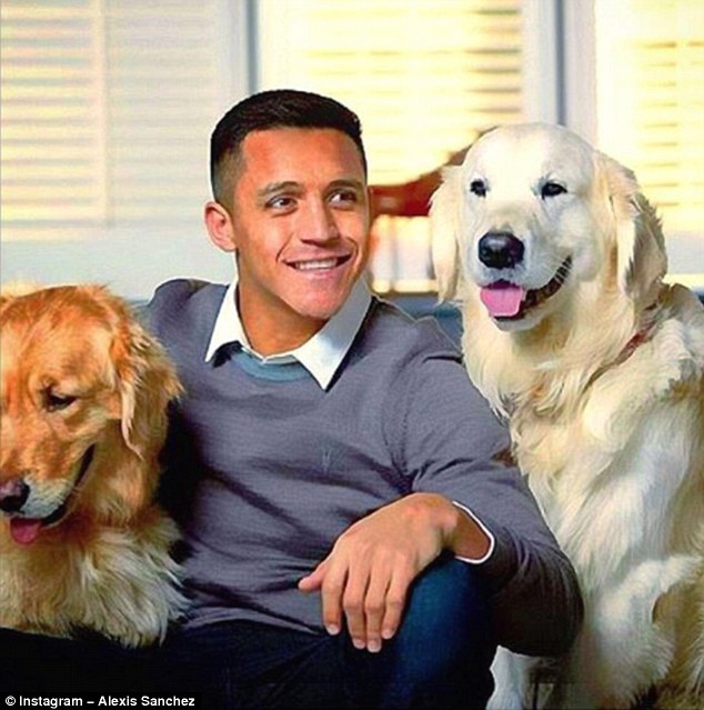 Tài khoản Instagram của bạn chưa chắc đã hot bằng 2 chú chó nhà Alexis Sanchez - Ảnh 9.