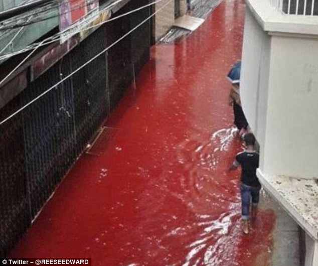 Đường phố nhuộm màu đỏ máu trong lễ hiến sinh của người Hồi giáo khiến ai cũng phải rùng mình - Ảnh 3.