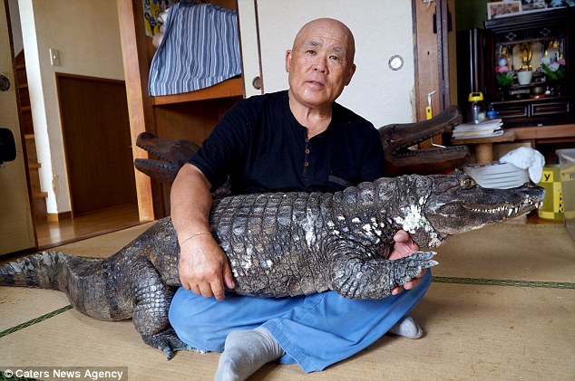 Người đàn ông Nhật Bản coi cá sấu như thú cưng, tắm rửa, đánh răng và dắt nó đi chợ mỗi ngày - Ảnh 6.