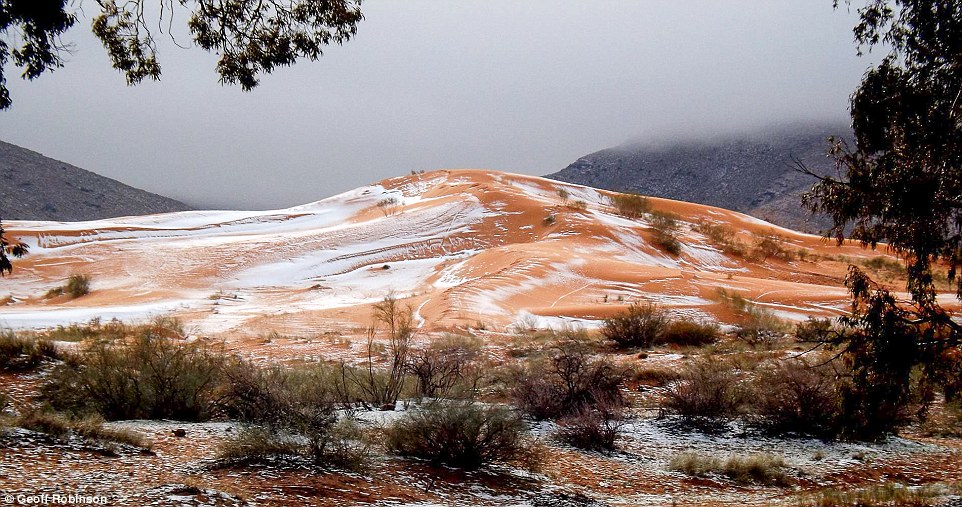 3b88fcfd00000578-4051448-karim-captured-the-amazing-moment-snow-fell-on-the-red-sand-dune-a-79-1482235554953-1482256137167.jpg