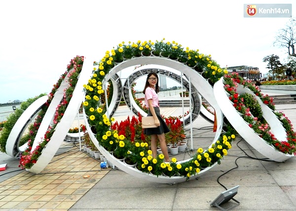 Đ&agrave; Nẵng rực rỡ với những vườn hoa xu&acirc;n khoe sắc b&ecirc;n s&ocirc;ng H&agrave;n - Ảnh 4.
