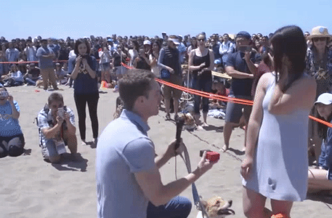 800 em cún chân ngắn làm loạn bãi biển California trong ngày hội Corgi - Ảnh 5.
