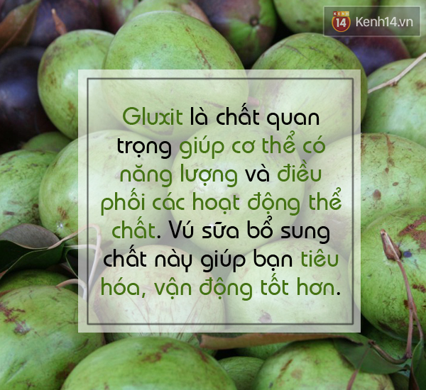 Tranh thủ ăn vú sữa vào mùa để hưởng thụ lợi ích tuyệt vời - Ảnh 4.