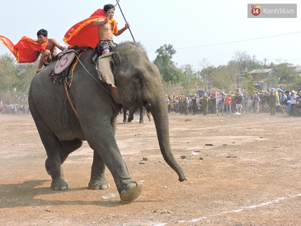 18 ch&uacute; voi Bu&ocirc;n Đ&ocirc;n tranh t&agrave;i c&aacute;c m&ocirc;n thể thao - Ảnh 3.