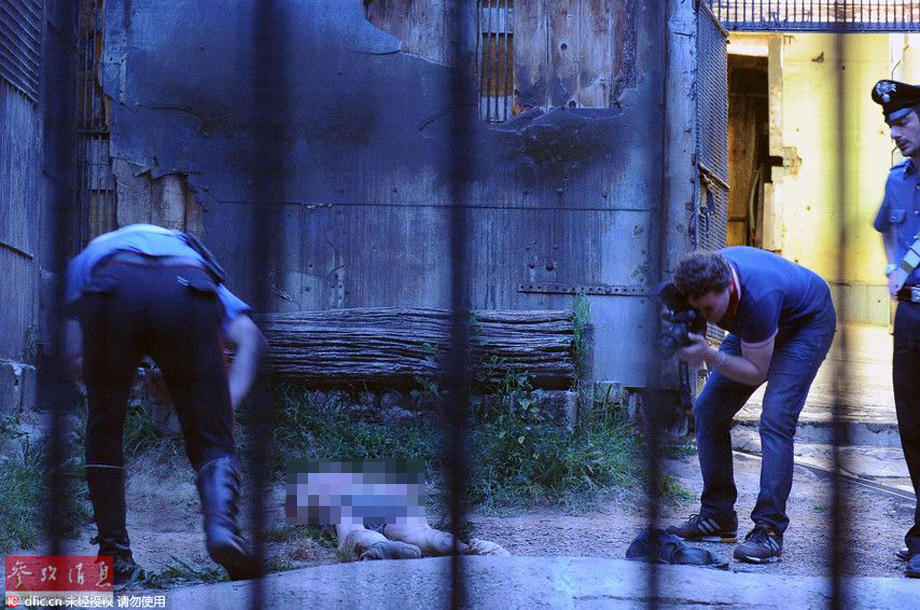 Trước vụ hổ cắn chết người trong vườn thú, biết bao tai nạn thương tâm do động vật tấn công du khách đã xảy ra - Ảnh 6. Trước vụ hổ cắn chết người trong vườn thú, biết bao tai nạn thương tâm do động vật tấn công du khách đã xảy ra - Ảnh 6.