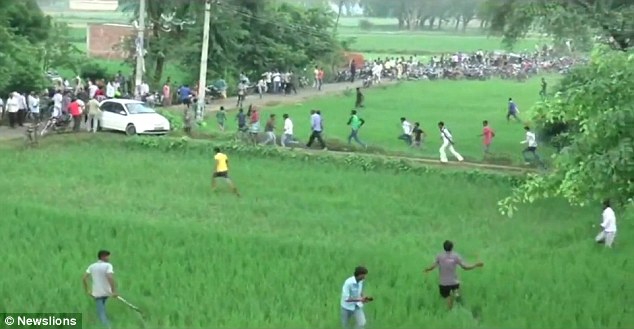 Ấn Độ: Cả làng hoảng loạn vì bị báo hoang tấn công  - Ảnh 6.