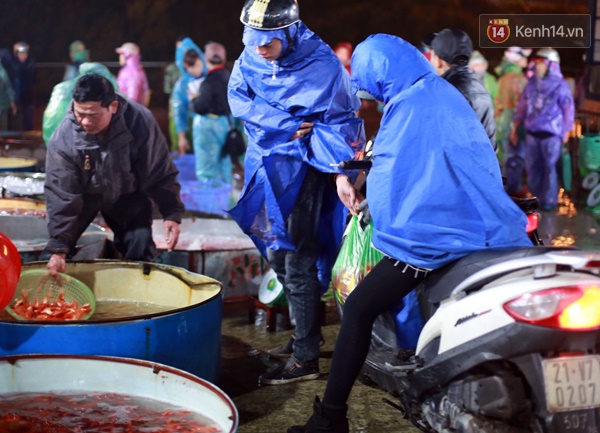 Nhộn nhịp chợ cá chép đỏ lớn nhất Thủ đô trước ngày Táo quân - Ảnh 6.