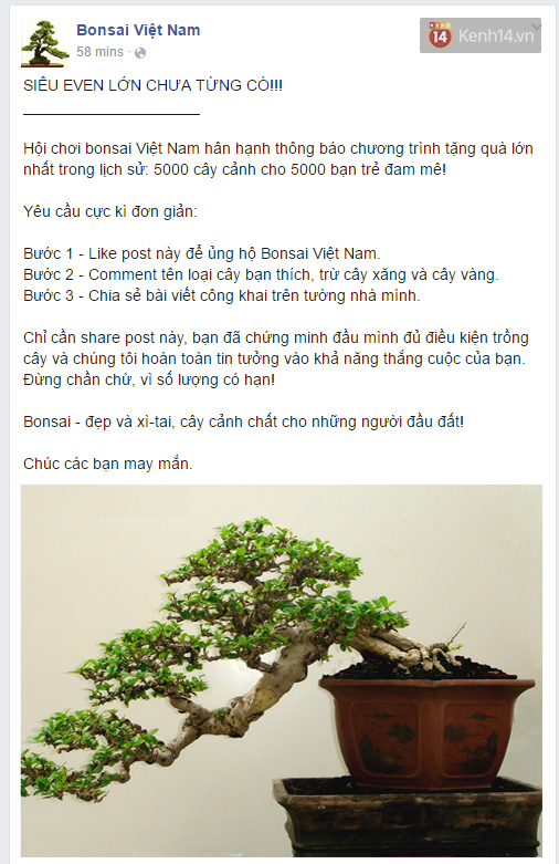 Xe tăng, máy bay... chưa là gì so với những sản phẩm được tặng miễn phí dưới đây! - Ảnh 9.