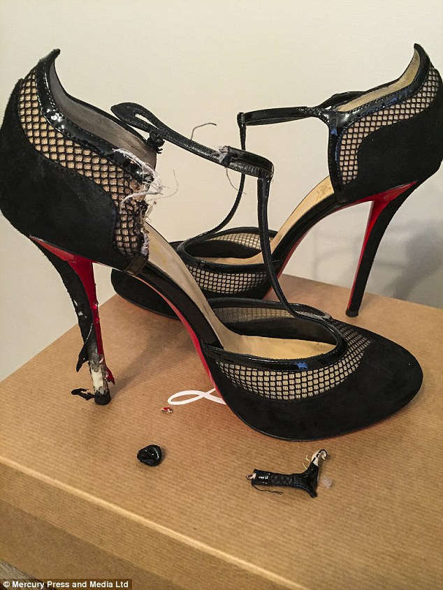 Em ch&oacute; cute tỏ vẻ lấm l&eacute;t sau khi cắn r&aacute;ch đ&ocirc;i Louboutin của chủ - Ảnh 4.