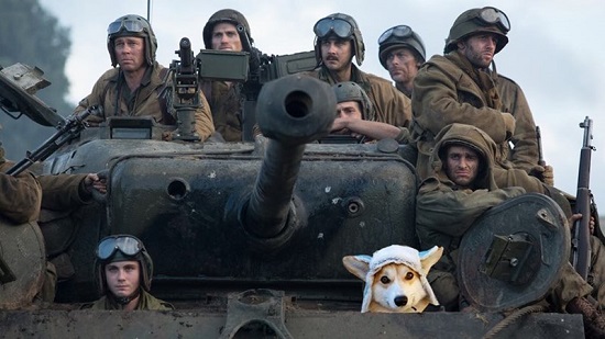 Đội mũ len quá dễ thương, chú chó Corgi đã bị các thánh chế ảnh cho lên thớt - Ảnh 12.