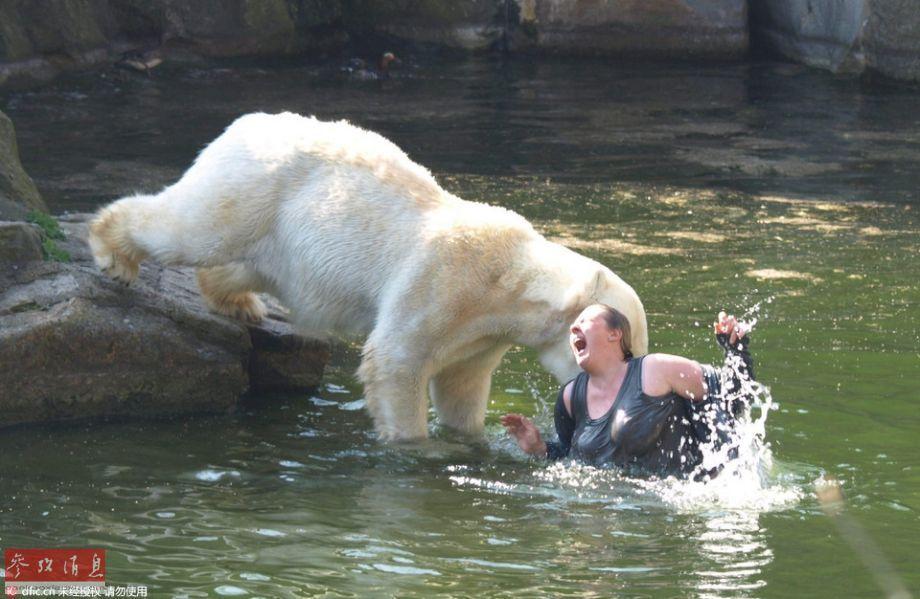 Trước vụ hổ cắn chết người trong vườn thú, biết bao tai nạn thương tâm do động vật tấn công du khách đã xảy ra - Ảnh 8. Trước vụ hổ cắn chết người trong vườn thú, biết bao tai nạn thương tâm do động vật tấn công du khách đã xảy ra - Ảnh 8.