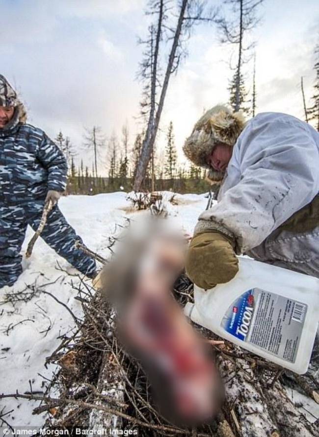 Theo chân những người thợ săn ở Siberia đi lột da chó sói - Ảnh 6.