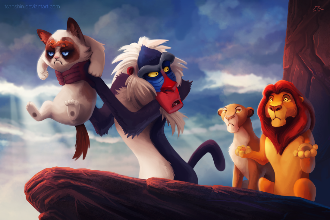 Khi chú mèo cau có Grumpy Cat đi đóng phim Disney