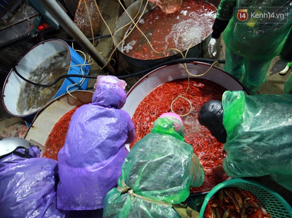 Nhộn nhịp chợ cá chép đỏ lớn nhất Thủ đô trước ngày Táo quân - Ảnh 8.