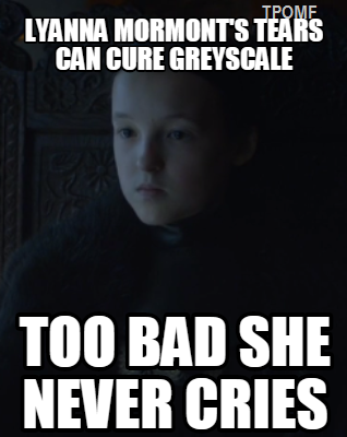 Lyanna Mormont - Thánh nữ siêu ngầu của Game Of Thrones là ai? - Ảnh 8.