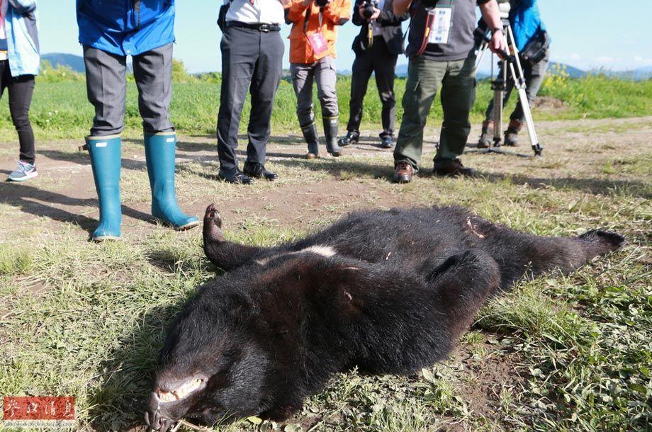 Trước vụ hổ cắn chết người trong vườn thú, biết bao tai nạn thương tâm do động vật tấn công du khách đã xảy ra - Ảnh 9. Trước vụ hổ cắn chết người trong vườn thú, biết bao tai nạn thương tâm do động vật tấn công du khách đã xảy ra - Ảnh 9.