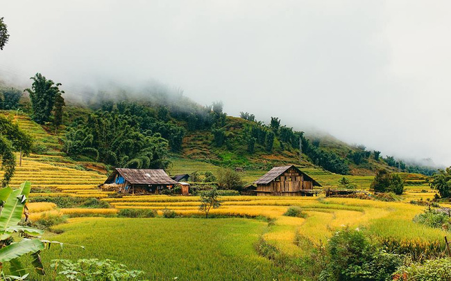 6 lý do nhất định phải nắm tay cùng người ấy tới Sapa 1 lần trong năm! - Ảnh 2.