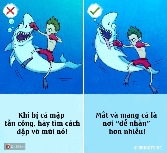 9 bí kíp sinh tồn sai be bét có cơ may báo hại bạn vào một ngày nào đó - Ảnh 9.