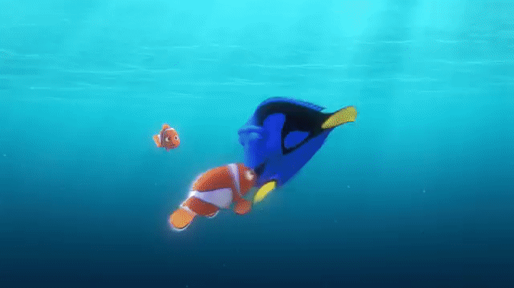 10 khám phá hay ho cần biết trước khi xem siêu phẩm Finding Dory - Ảnh 5.