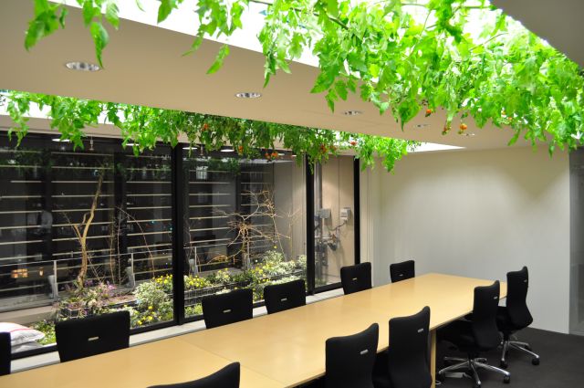 Mãn nhãn với cảnh tượng đồng lúa, vườn rau ngay giữa văn phòng 9 tầng ở trung tâm Tokyo - Ảnh 16.