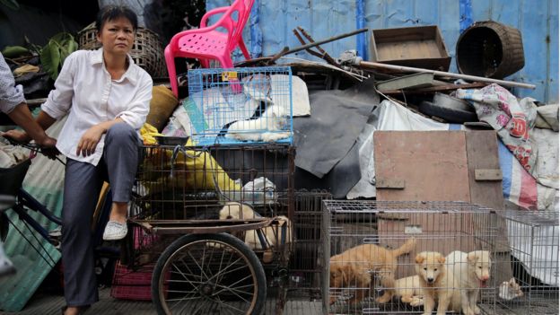 Dù vấp phải nhiều sự phản đối, lễ hội thịt chó vẫn diễn ra tại Ngọc Lâm, Trung Quốc - Ảnh 8.