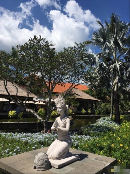 Lưu Thi Thi xuất hiện rạng rỡ b&ecirc;n Ng&ocirc; Kỳ Long trong bữa tiệc mừng trước đ&aacute;m cưới - Ảnh 31.