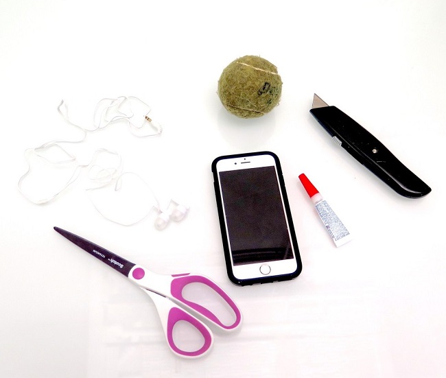 B&iacute; k&iacute;p chụp selfie với c&uacute;n cưng độc nhất v&ocirc; nhị - Ảnh 1.