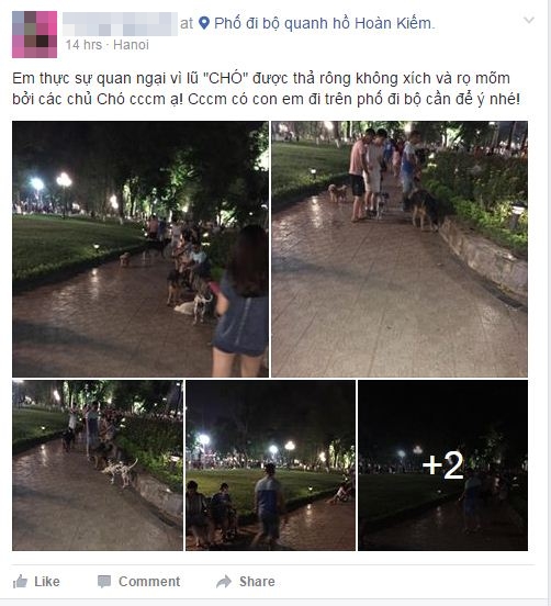 Vừa dạo phố đi bộ Hà Nội, vừa lo gặp phải chó không rọ mõm được thả chạy tung tăng - Ảnh 2.