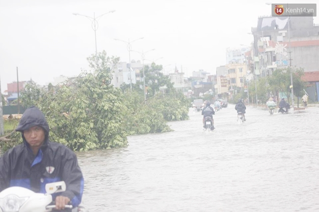 Nam Định: 2 người chết, thiệt hại hàng nghìn tỷ đồng sau bão số 1 - Ảnh 1.
