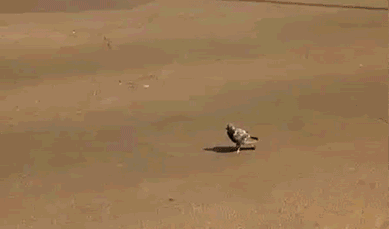 14 kẻ kỳ cục chẳng th&egrave;m quan t&acirc;m đến thứ g&igrave; tr&ecirc;n đời - Ảnh 4.