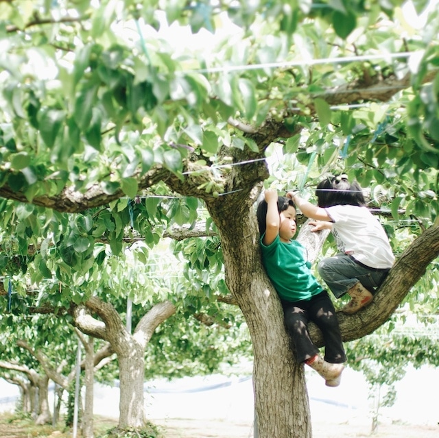 Cặp song sinh đầu bát úp từng khiến cộng đồng mạng chao đảo ngày nào giờ đã lớn nhưng vẫn cực cute - Ảnh 22.