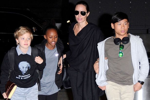 Angelina Jolie v&agrave; c&aacute;c con trị liệu t&acirc;m l&yacute; để đối mặt với vụ ly dị đau l&ograve;ng - Ảnh 1.