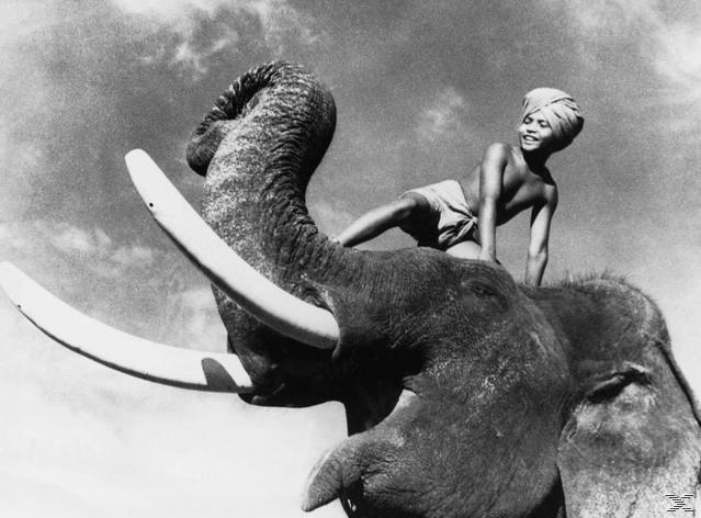 10 bí mật động trời của siêu phẩm The Jungle Book - Ảnh 2.