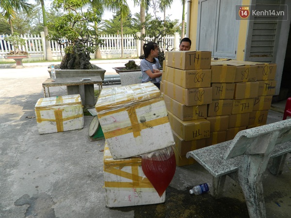 Bắt xe kh&aacute;ch chở gần 2 tạ da thịt bốc m&ugrave;i h&ocirc;i thối - Ảnh 2.