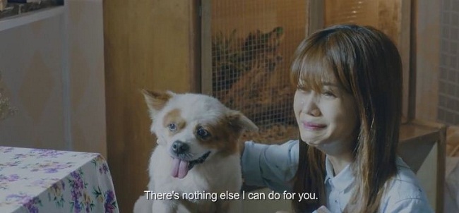 An Nguy cười tươi rồi khóc nức nở chỉ vì... Trấn Thành! - Ảnh 9.